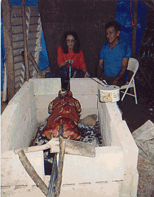 pigroast.gif